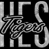 GLT95 SILVER GLITTER Thumbnail