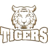 GLT32 GOLD GLITTER Thumbnail